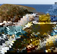 Green Island Walking Track - Holiday Cairns