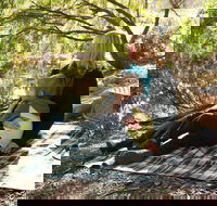 Haig Street Quarry Bushland Reserve Trails - Holiday Cairns