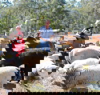 Haigslea EWE Nique Hobby Farm - Holiday Cairns