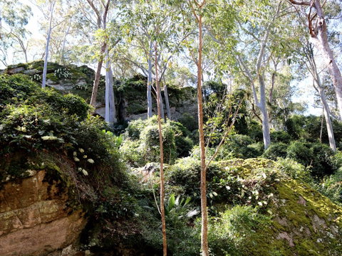 Haunted Point Loop Walk - Holiday Cairns 0