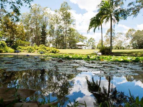 Kholo Gardens - Holiday Cairns 1