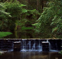 Millards Creek Walk and Cycleway