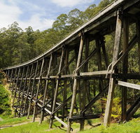Noojee Trestle Bridge - Holiday Cairns