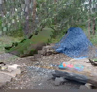 Northbrook Mountain Bush Camp - Holiday Cairns