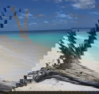 North West Island - Holiday Cairns