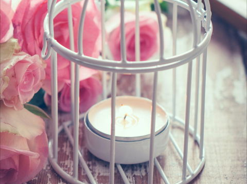 Passionfish Candles - Holiday Cairns 1
