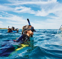 Swim With Dolphins Day Trip - Holiday Cairns