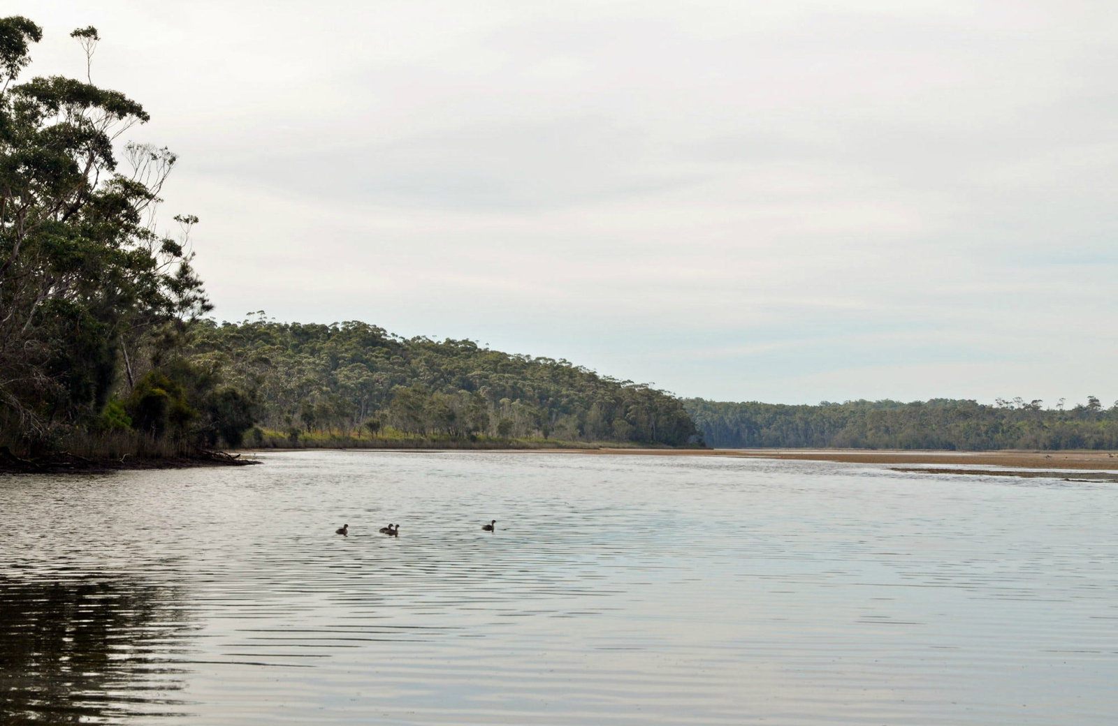 Lake Tabourie NSW Holiday Cairns