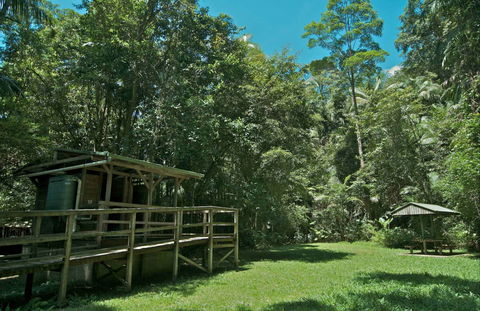 Terania Creek Picnic Area - Holiday Cairns 0