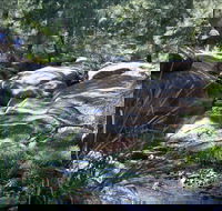 Washpools waterhole - Holiday Cairns