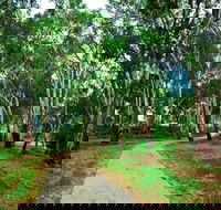 Adungadoo Pathway - Holiday Cairns