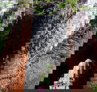 Ancient Empire Walk Valley of the Giants - Holiday Cairns
