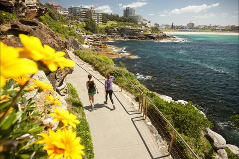 Bondi To Coogee Coastal Walk - Holiday Cairns 2