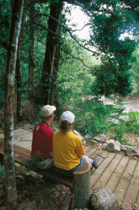 Cedar Creek Falls - Holiday Cairns 1