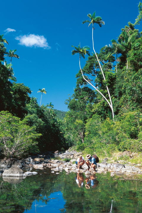 Cedar Creek Falls - Holiday Cairns 2