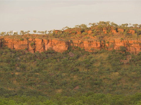 Escarpment Walk - Holiday Cairns 2