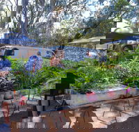 Fernvale Country Markets - Holiday Cairns