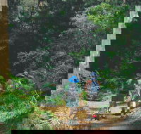 Gloucester National Park - Holiday Cairns