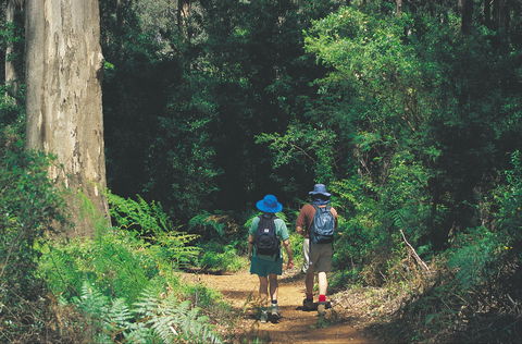 Gloucester National Park - Holiday Cairns 0