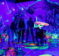 Glowing Rooms 3D Mini Golf - Holiday Cairns
