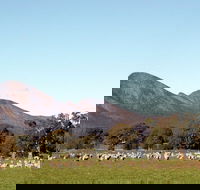 Grampians - Holiday Cairns