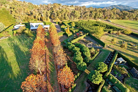 High Country Maze - Holiday Cairns 1