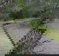 Leschenault Peninsula Conservation Park - Holiday Cairns