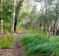 Meroo Lake walking track - Holiday Cairns