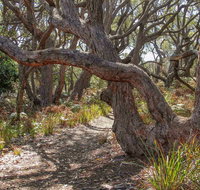 Middle Lagoon Walking Track - Holiday Cairns
