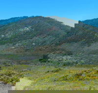 Monument Hill Walking Track - Holiday Cairns