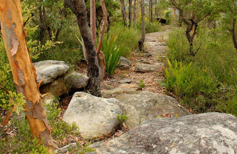 Mount Olive Trail - Holiday Cairns 0