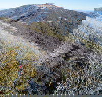 Mt Buller Bike Park - Holiday Cairns