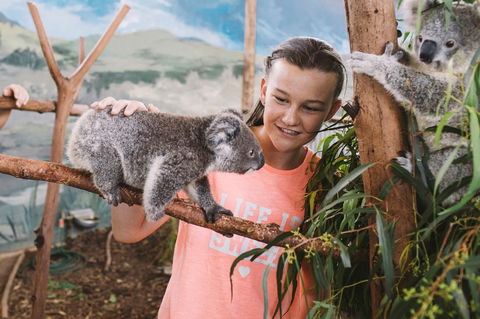 Oakvale Wildlife Park - Holiday Cairns 0