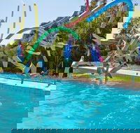Oaklands War Memorial Swimming Pool - Holiday Cairns