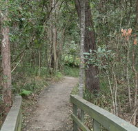 Springwood Conservation Park - Holiday Cairns
