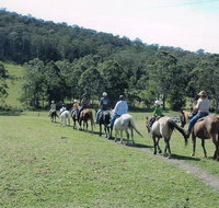 Timbertops - Horse Riding - Holiday Cairns