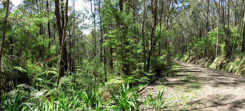Tyers Park - Holiday Cairns 0