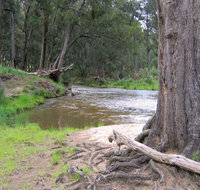 Bangadilly National Park - Holiday Cairns
