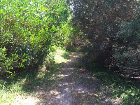 Bluff Track Fitness Trail - Holiday Cairns 2