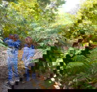 Endeavour Fern Gully Walks - Holiday Cairns