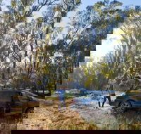 Forest Drive Murrumbidgee Valley National Park - Holiday Cairns