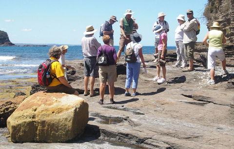 Gondwana Coast Fossil Walk - Holiday Cairns 0