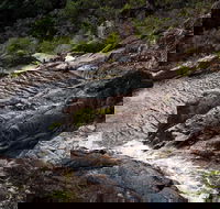 Halls Falls - Holiday Cairns