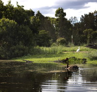 Hunter Wetlands Centre - Holiday Cairns