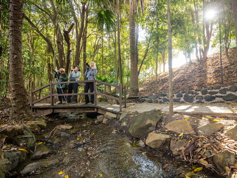 Kholo Gardens Trails - Holiday Cairns 1