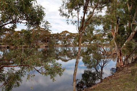 Merredin Railway Dam - Holiday Cairns 0