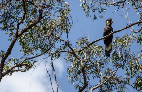 Mummel Gulf National Park - Holiday Cairns 0