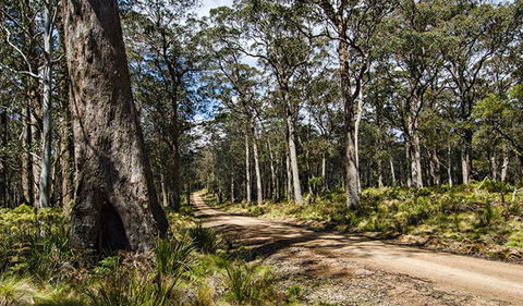 Mummel Gulf National Park - Holiday Cairns 1
