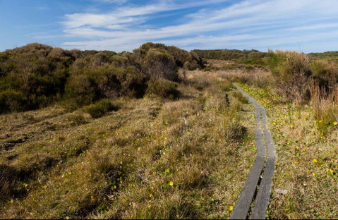 Murramarang Aboriginal Area Walking Track - Holiday Cairns 0