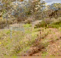 Old Mountain Road Walking Track - Holiday Cairns